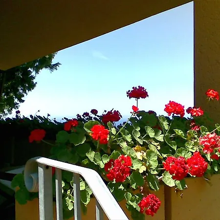 Villetta Vista Mare Villa